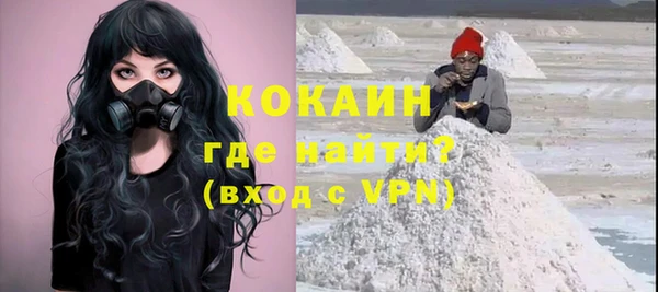 кокс Алексин