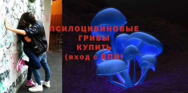 гидропоника Алексеевка