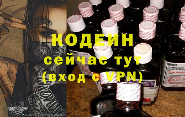 кокс Алексин
