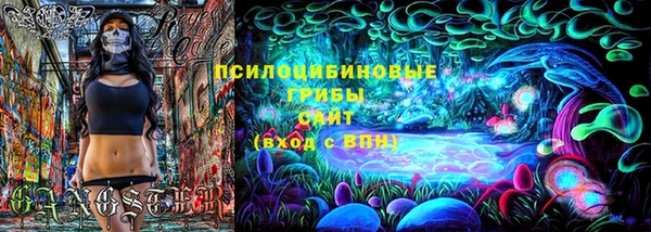 крисы Алзамай
